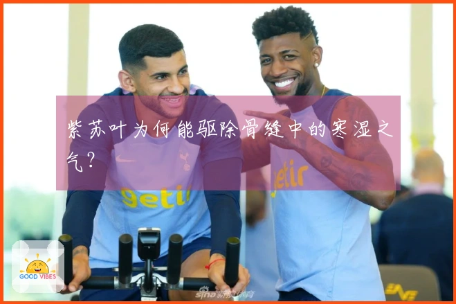 紫苏叶为何能驱除骨缝中的寒湿之气？